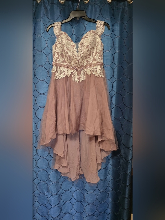 JJs House Dresses & Skirts - JJ's House Lace High Low Irridescent Sequin Bridal Event Dress